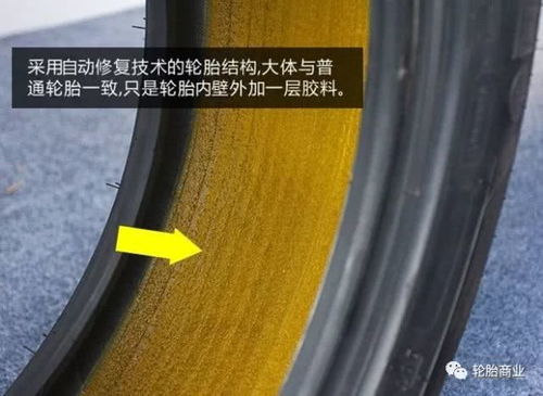 前几年来店里宣传防刺扎轮胎的企业都死了