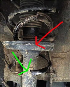 网通社汽车 东莞市永轩